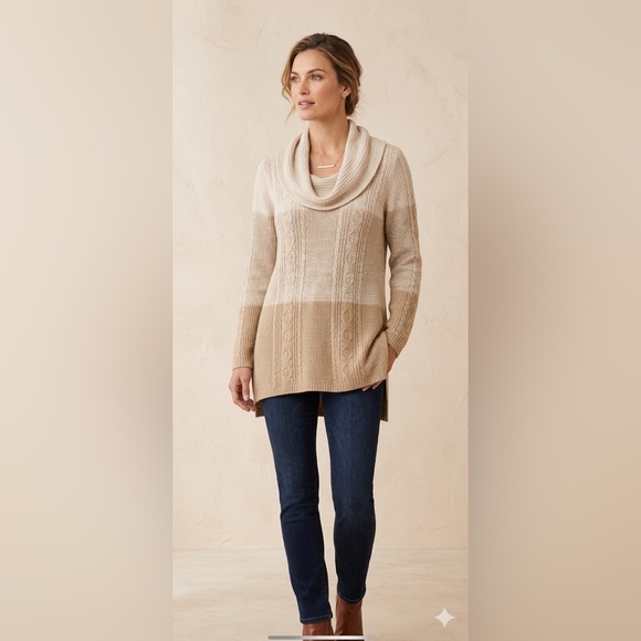 JEANNE PIERRE Sweaters - **SOLD** Jeanne Pierre Neutral Color Block Cowl Neck Tunic Sweater - Medium